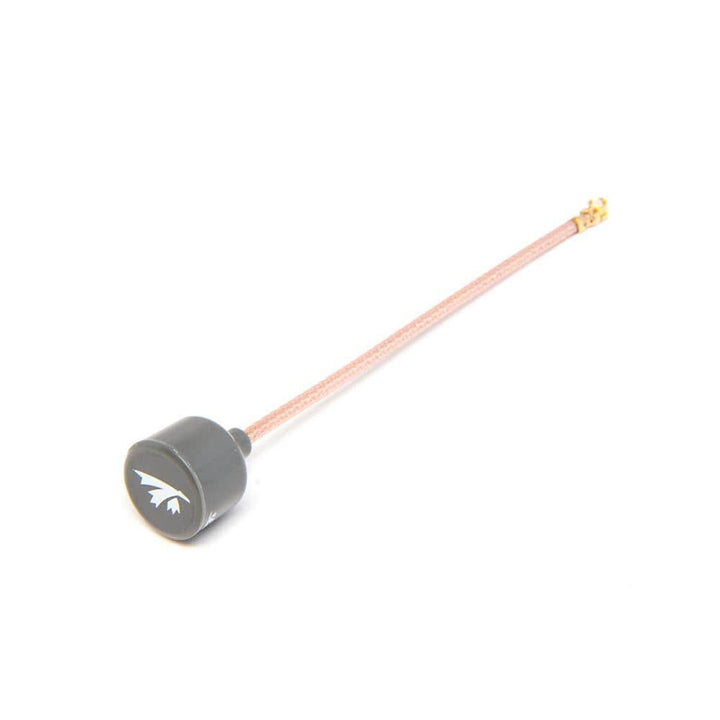 TrueRC Singularity 5.8GHz U.FL Antenna - RHCP at WREKD Co.